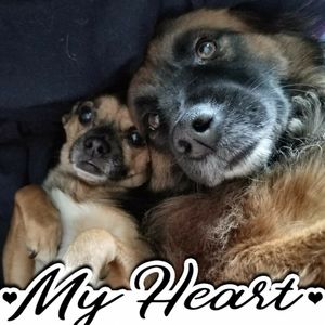 Meet your Posher, Colleen